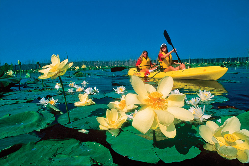 cane creek state park kayaking