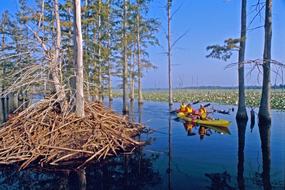 cane creek state park kayaking