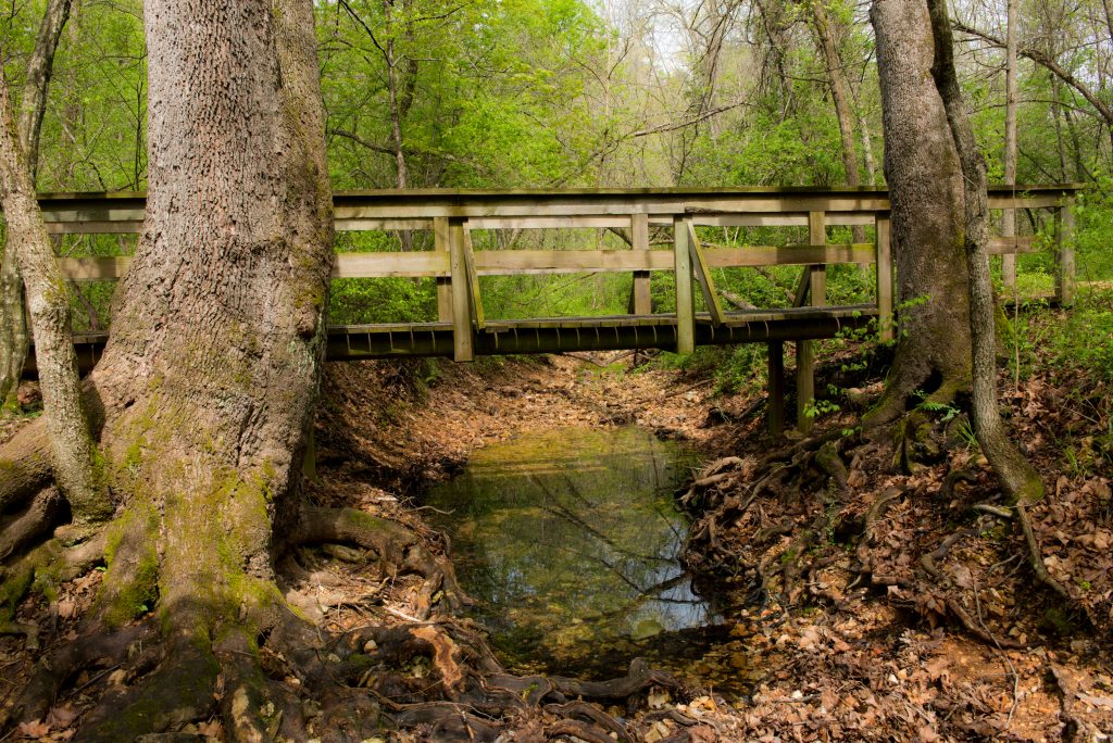 hobbs_state_park_conservation_area_9136