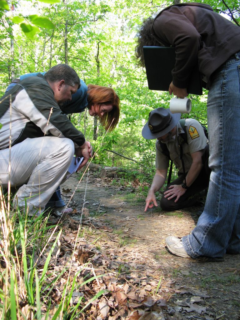 Interpreter looks at tracks with visitors