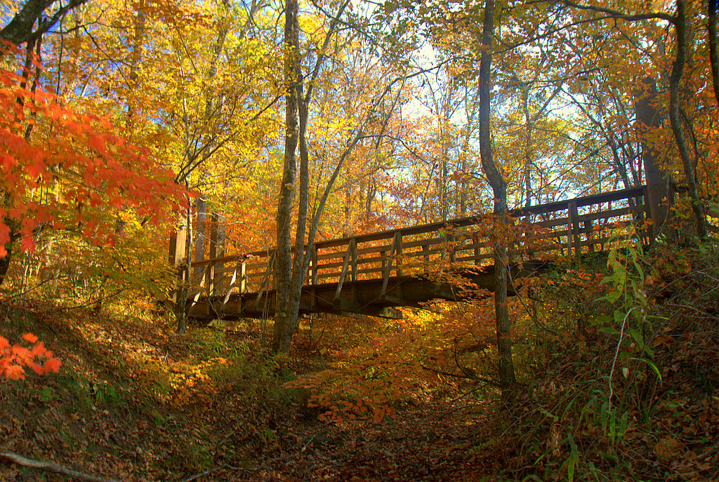The hillsides surrounding the river offer unique plants and wildlife to explore.
