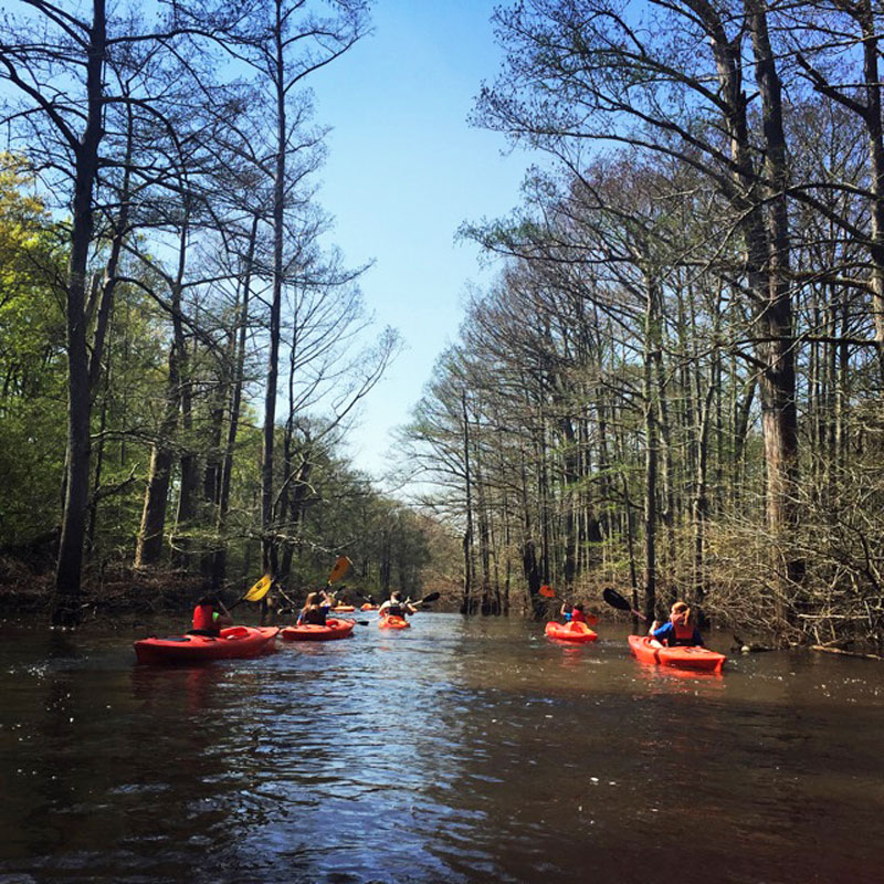cane creek state park kayaking