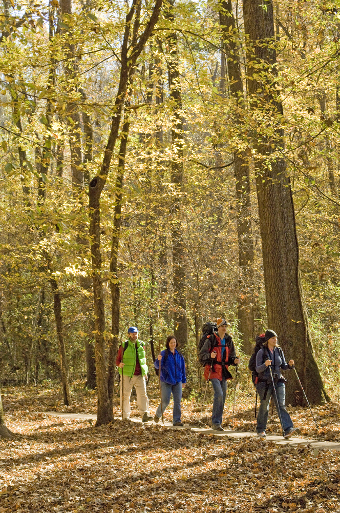 Beautiful hardwood and pine forests make for great hiking throughout "The Natural State."