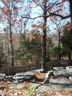Walking among the rocks and leaves. Walking among the rocks and leaves.
