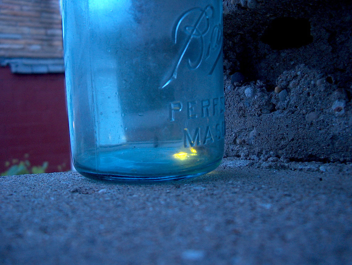 Fireflies in a jar, photo by jamelah.