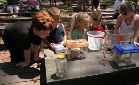 Getting up close and personal with reptiles and amphibians.