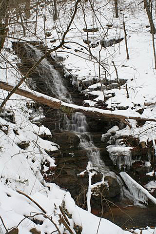 Sometimes the season matters. A clear view of the falls is the norm in Winter but it maybe obscured in the Summer.