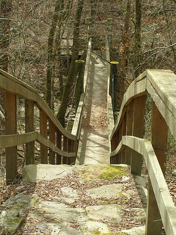 Steps and Bridge on the River Corridor Trail.