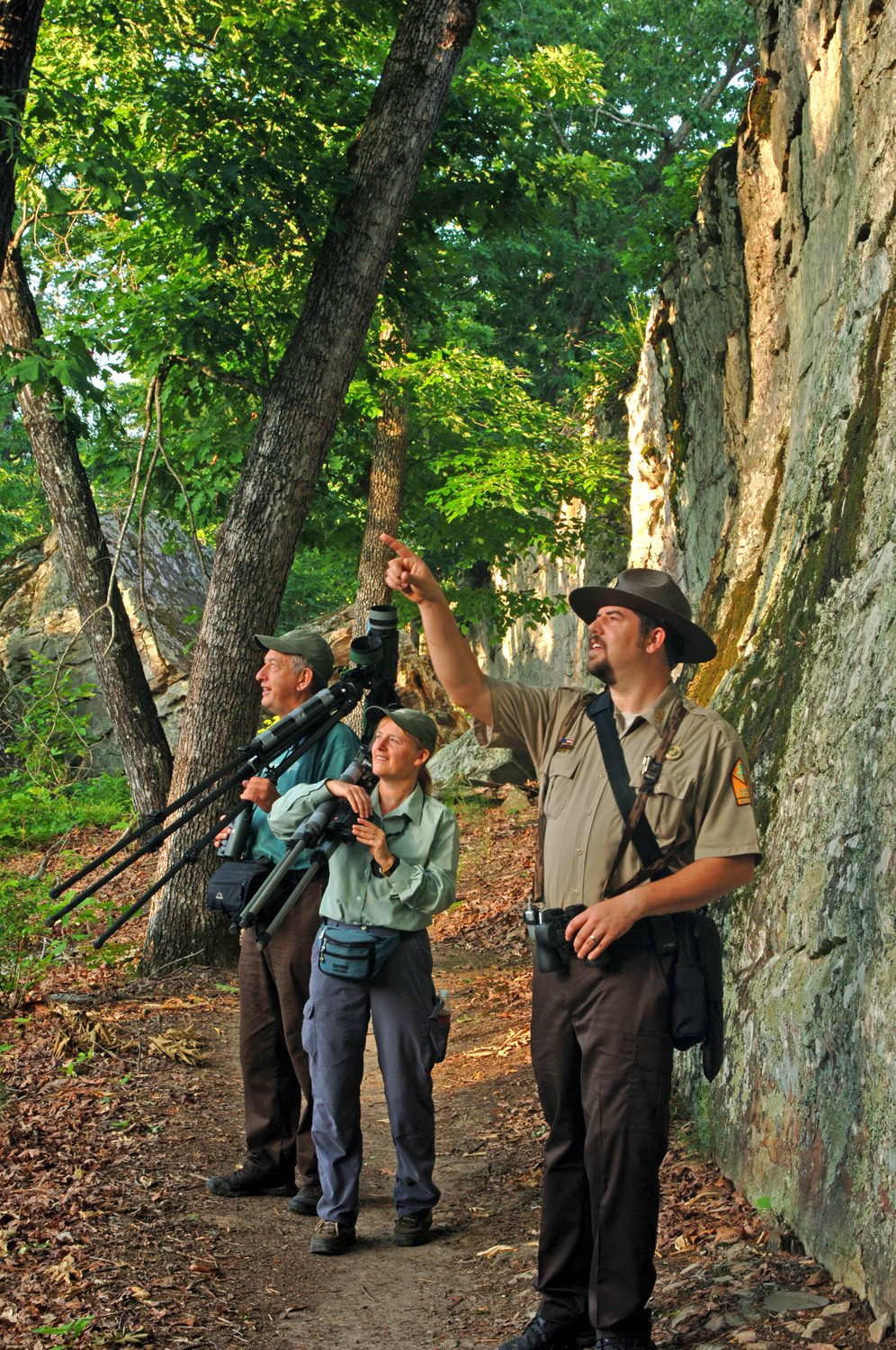 Interpreter lead park programs are a great way to experience the diverse flora and fauna of the park.