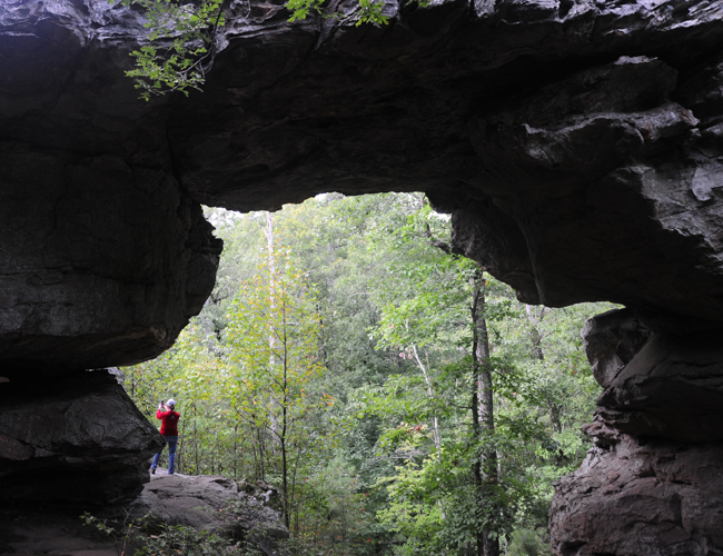 petit jean seven hollows trail