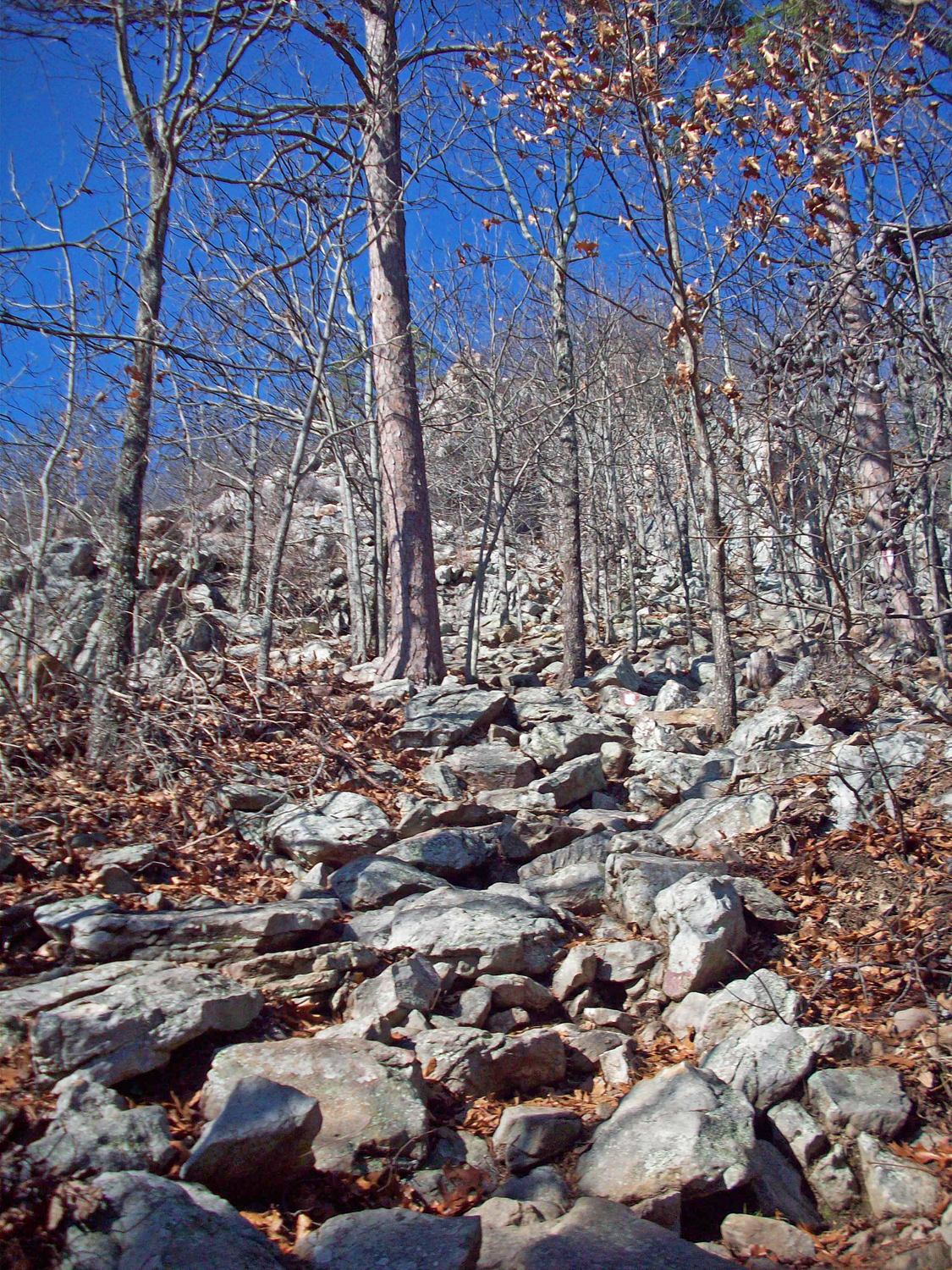 The trails to the top can be challenging and enjoyable.