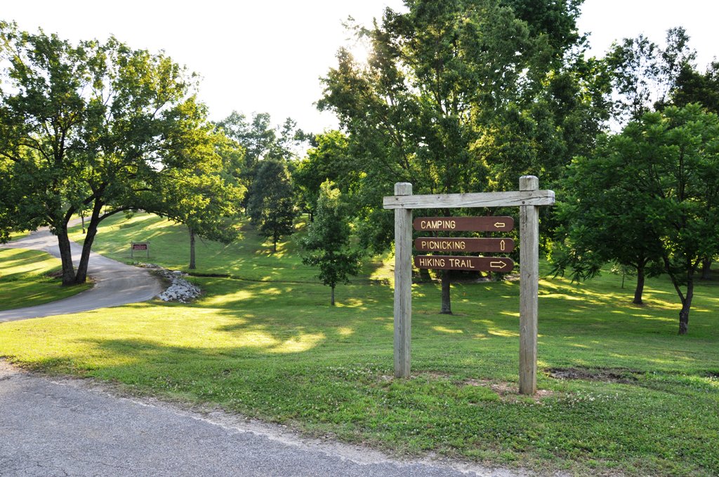 Welcome to Lake Poinsett State Park.