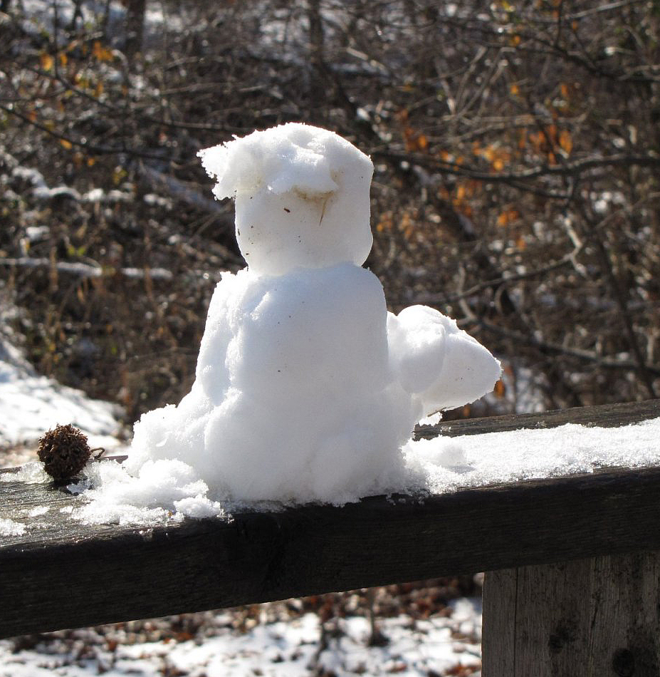 Snow Squirrel