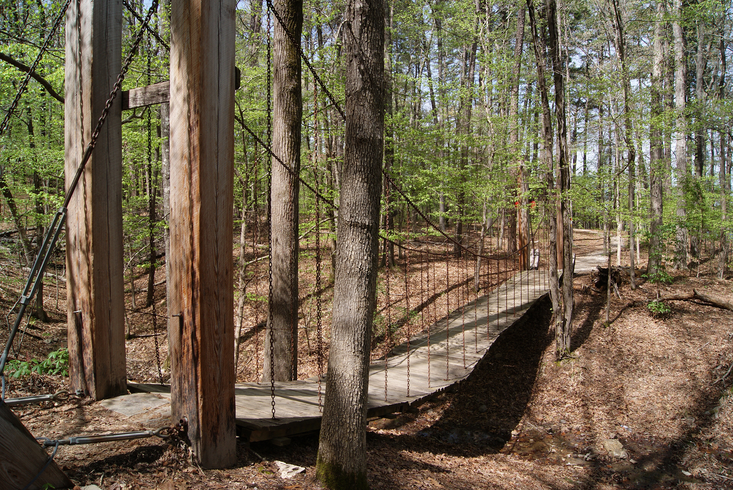 The Swinging Bridge on the Falls Branch Trail.