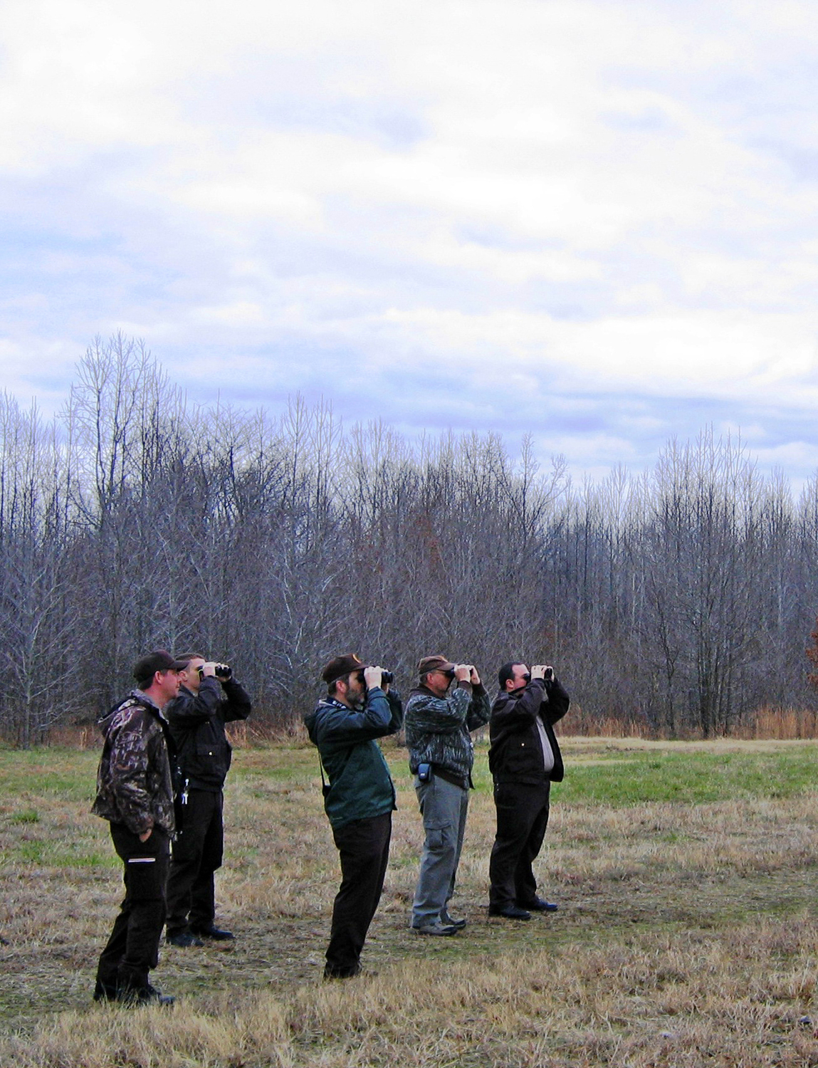 Birds’ flashes of color are fun to see in a winter forest.