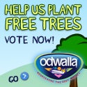 VoteNow You plant up to 5 trees.